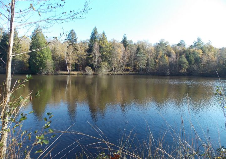 vente Etang La Chapelle Montbrandeix