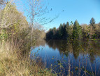 vente Etang La Chapelle Montbrandeix