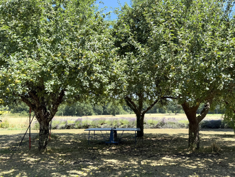 vente Maison Bellon - Photo 7