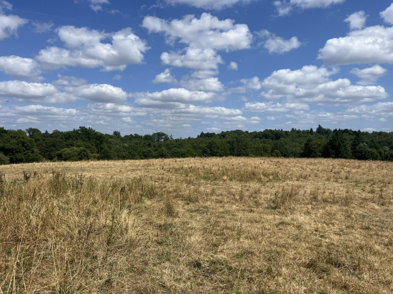 vente Maison Les Salles Lavauguyon - Photo 5