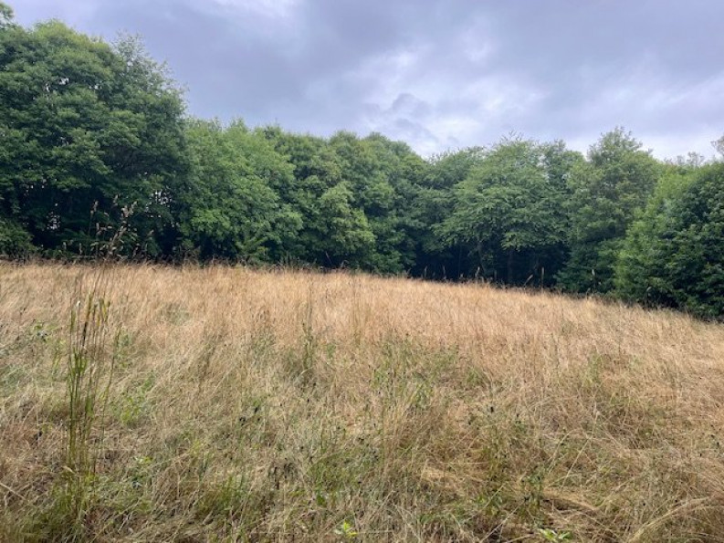 vente Maison de caractère Cussac - Photo 8