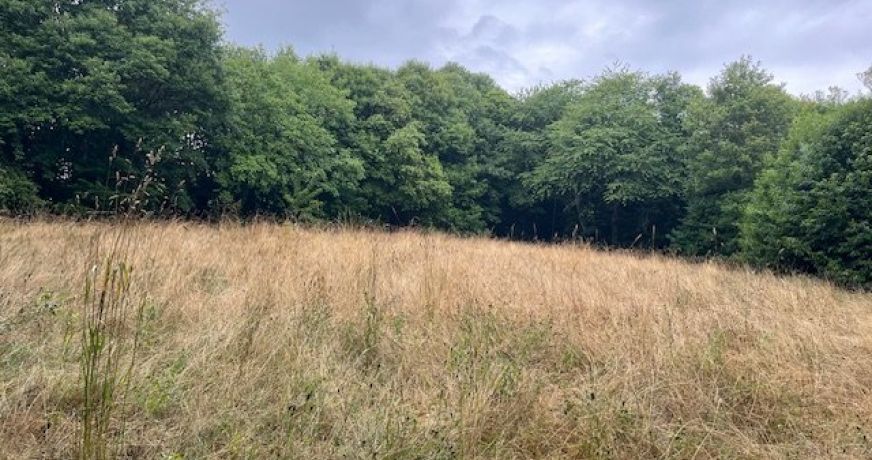 vente Maison de caractère Cussac