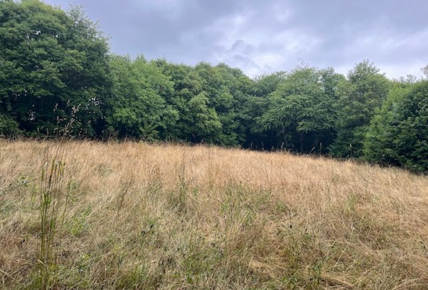 vente Maison de caractère Cussac - Photo 8