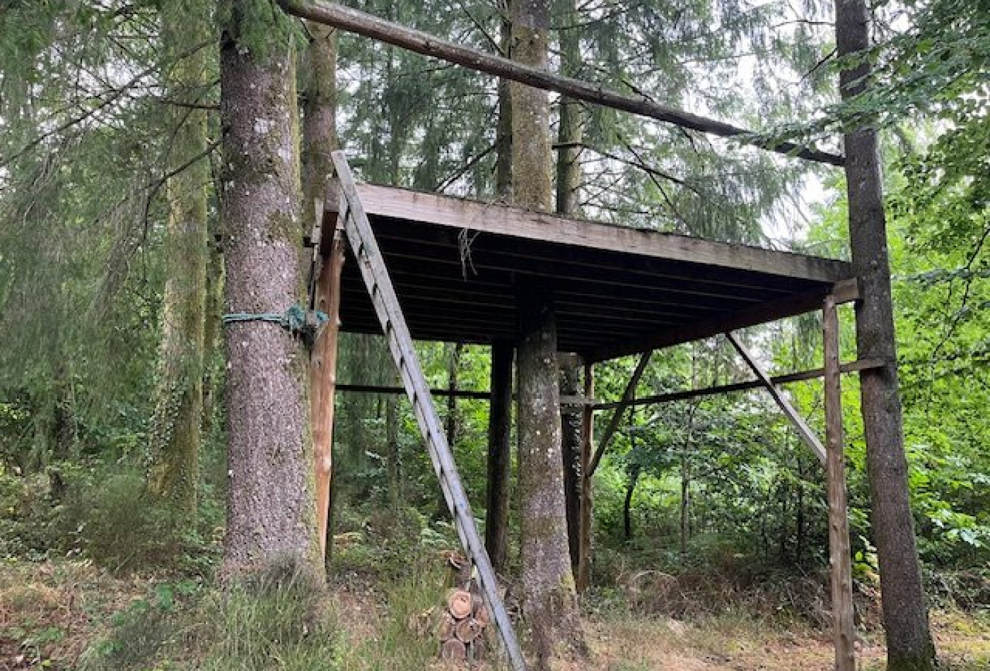 vente Maison de caractère Cussac - Photo 9