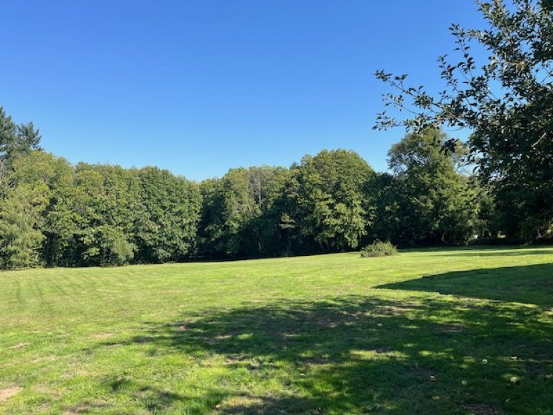 vente Maison et dépendances Oradour Sur Vayres - Photo 3