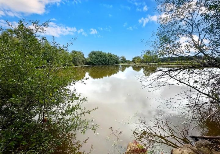 vente Propriété Saint Maurice Des Lions