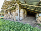 vente Maison Pressac