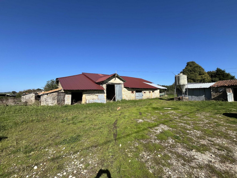 sale Maison Pressac - Photo 7