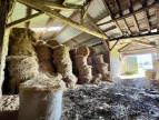 vente Maison Pressac