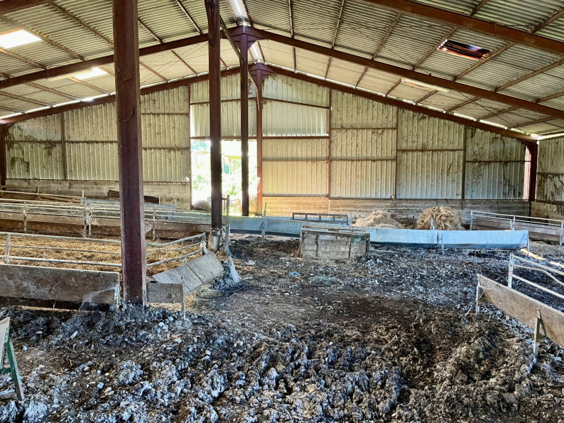 sale Maison Pressac - Photo 16