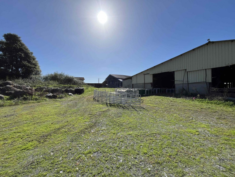 sale Maison Pressac - Photo 17