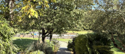 vente Maison Piegut Pluviers