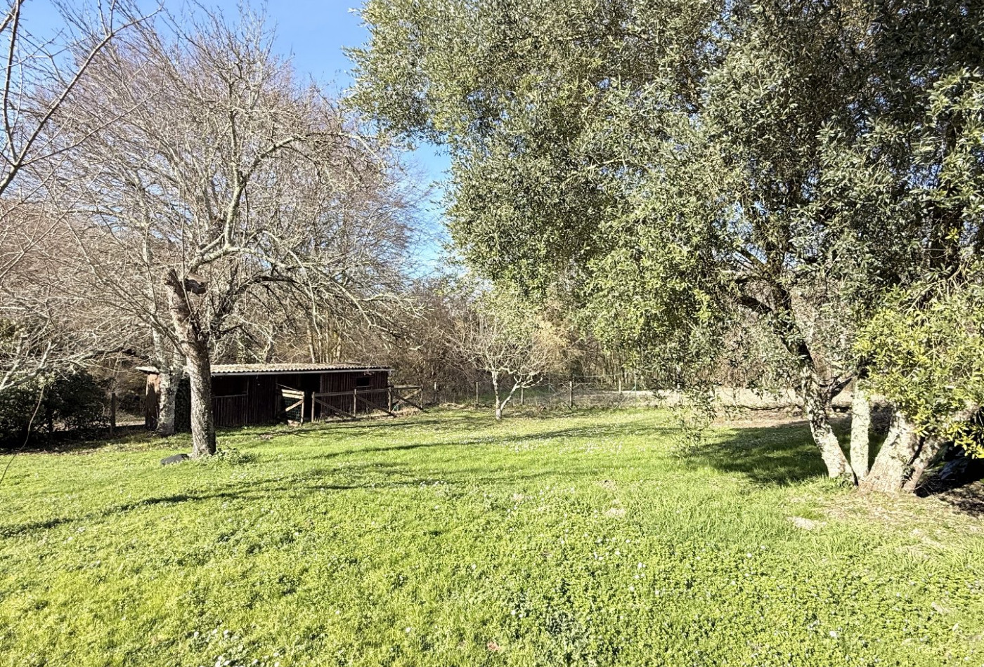vente Maison Aubeterre Sur Dronne - Photo 4