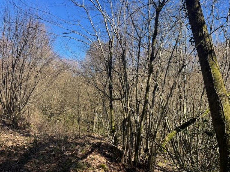 vente Maison de campagne Domps - Photo 11