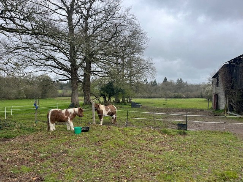 vente Corps de ferme Saint Laurent Sur Gorre - Photo 2