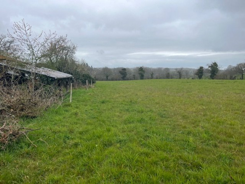vente Corps de ferme Saint Laurent Sur Gorre - Photo 5