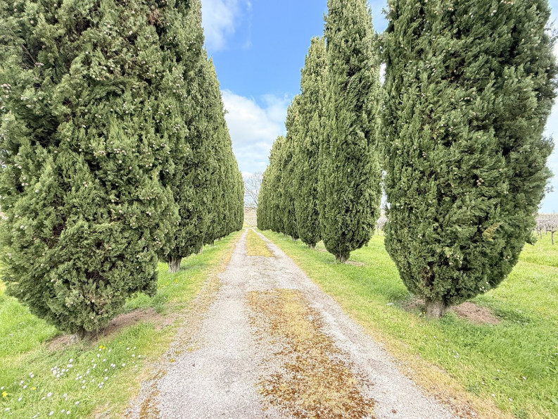 vente Maison Chateauneuf Sur Charente - Photo 6