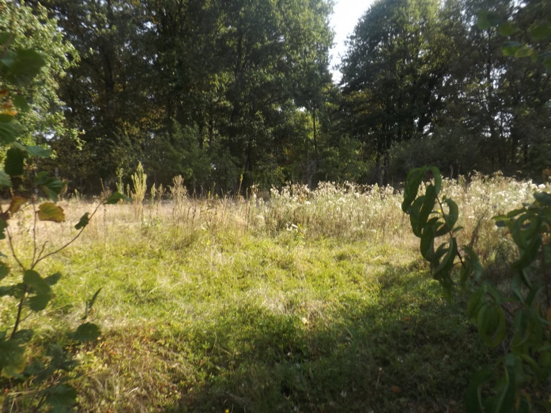 sale Maison Chabrac - Photo 15