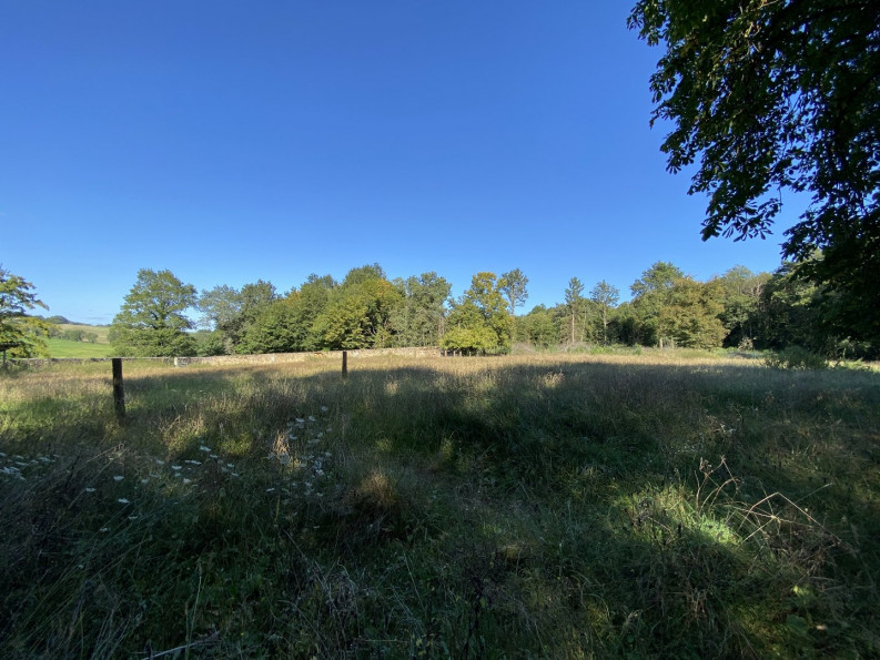 sale Propriété Souffrignac - Photo 4