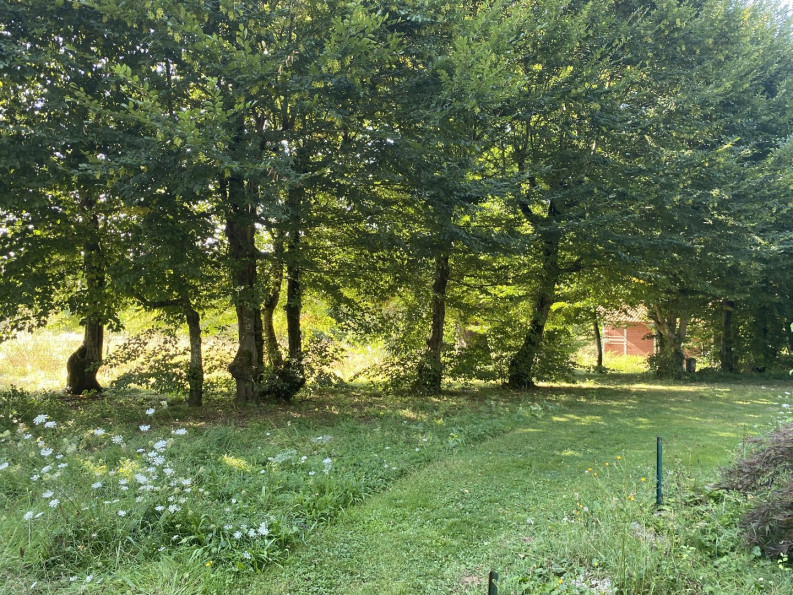 sale Propriété Souffrignac - Photo 3