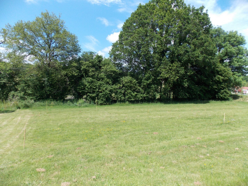 vente Maison individuelle Champagnac La Riviere - Photo 7