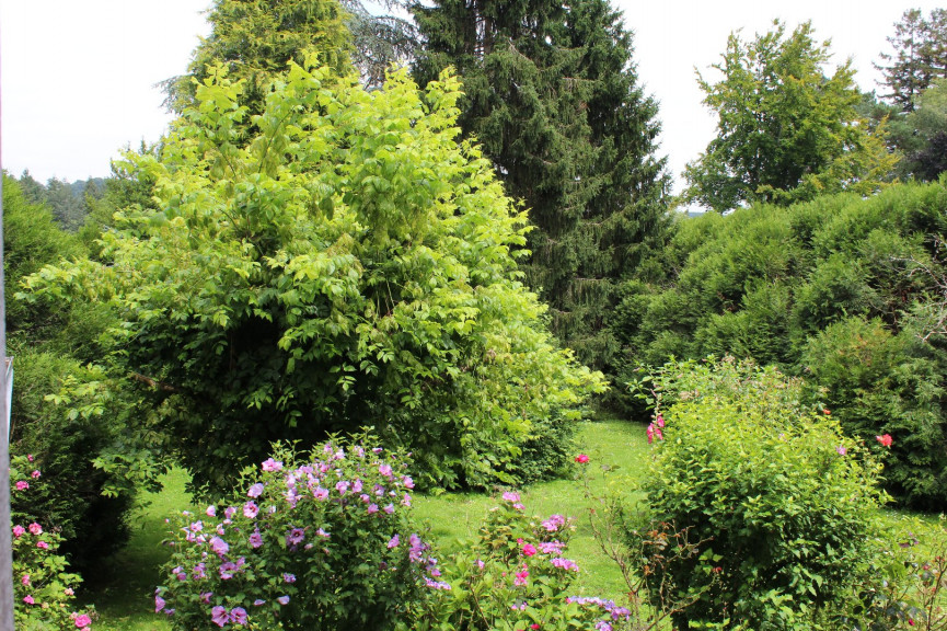 vente Maison bourgeoise Availles Limouzine - Photo 4