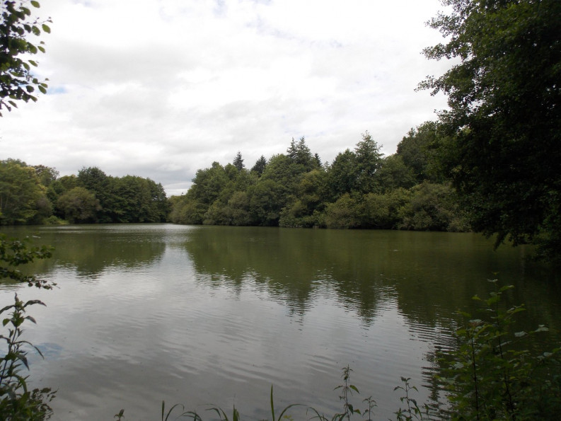 vente Propriété Massignac - Photo 2