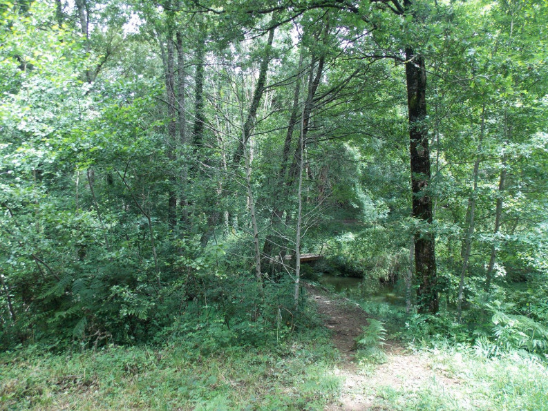 vente Propriété Massignac - Photo 16