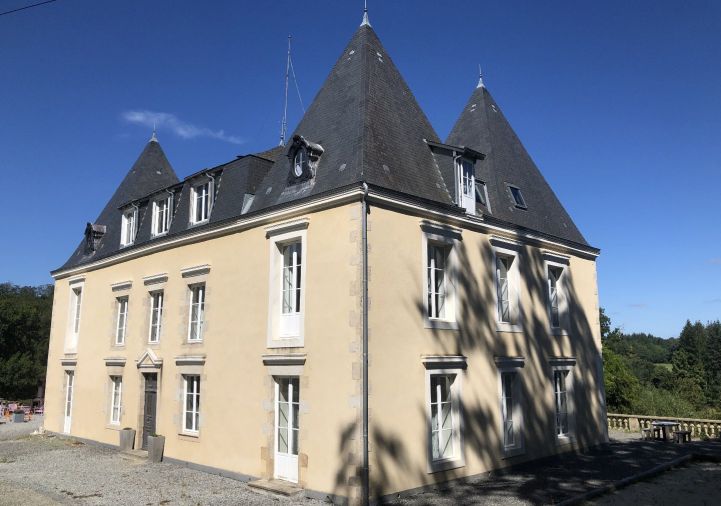 vente Château Chateauneuf La Foret