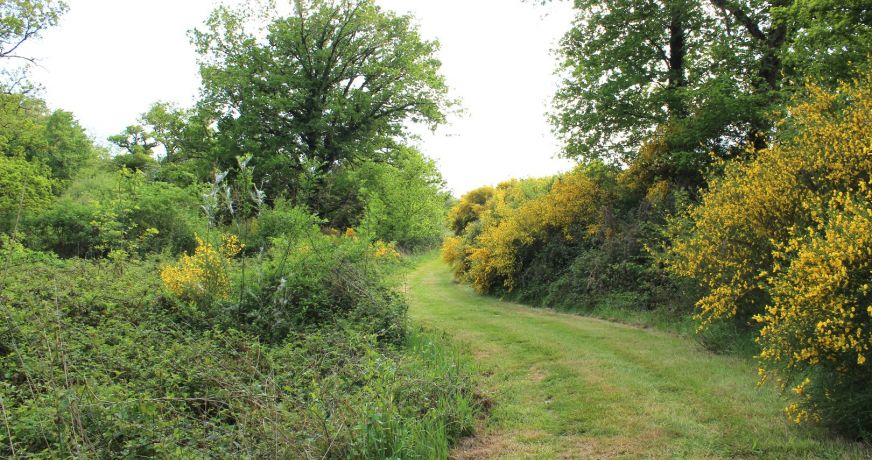 vente Maison individuelle Availles Limouzine