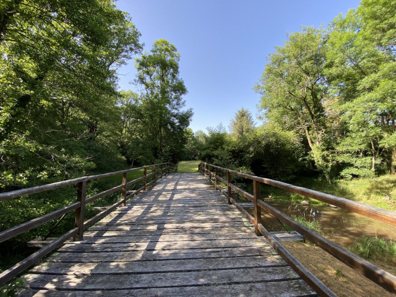 vente Manoir Busserolles - Photo 7