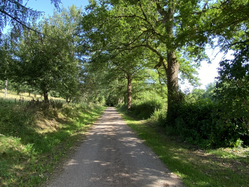 sale Manoir Busserolles - Photo 20