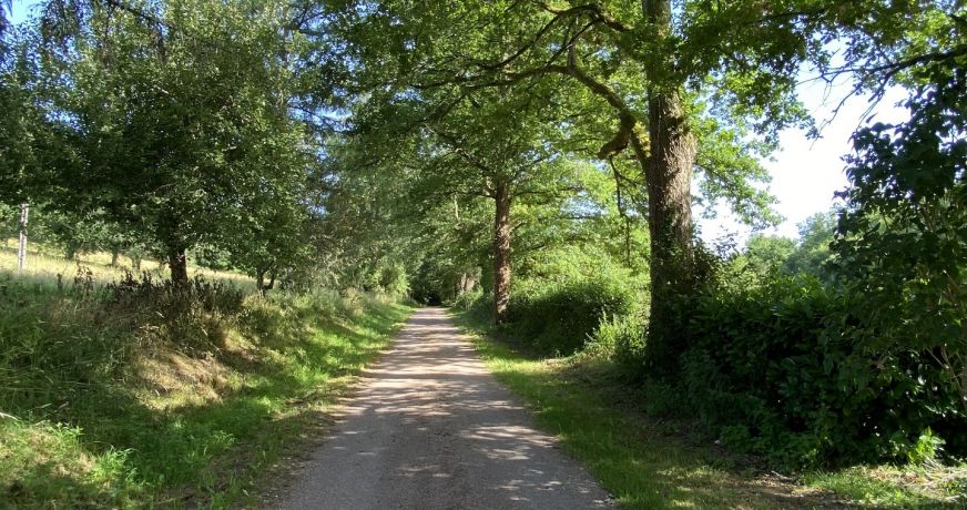 vente Manoir Busserolles