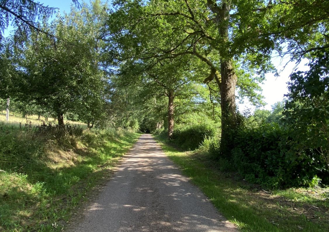 vente Manoir Busserolles