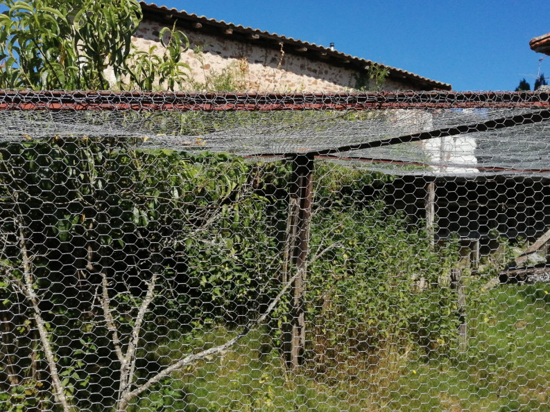 vente Maison de hameau Chirac - Photo 13