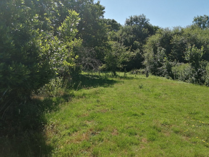 vente Maison de hameau Chirac - Photo 14