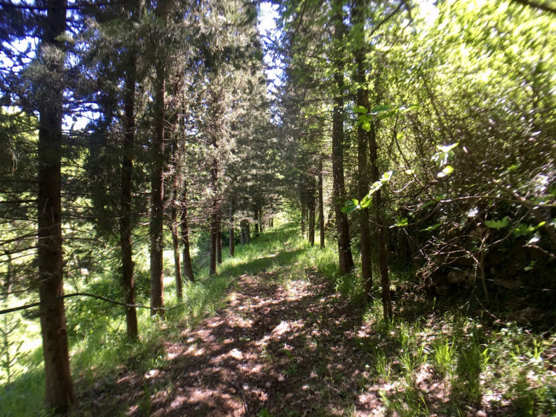 vente Mazet Aveze - Photo 8