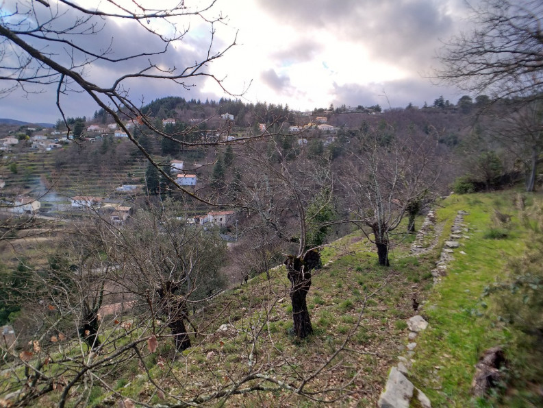 vente Terrain constructible Le Vigan - Photo 8