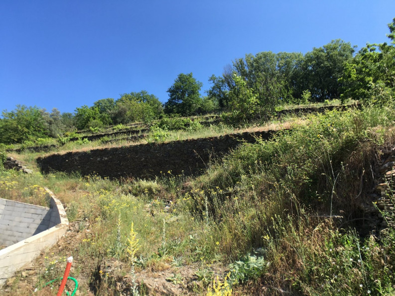 vente Terrain constructible Le Vigan - Photo 3