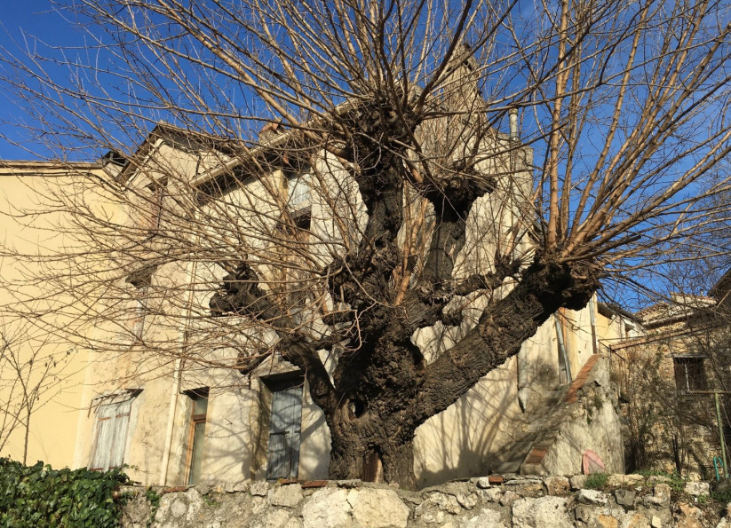 vente Maison à rénover Bez Et Esparon - Photo 2