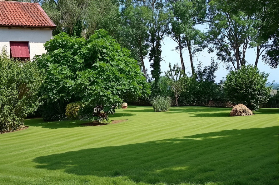 vente Maison Padies - Photo 6