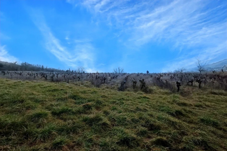 vente Terrain constructible Albi - Photo 1