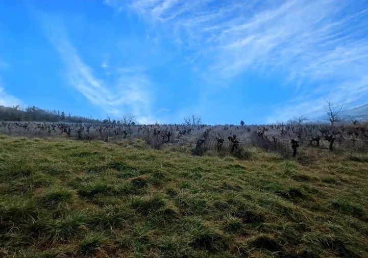 vente Terrain constructible Albi