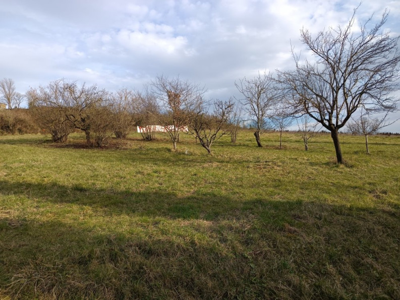 vente Terrain constructible Albi - Photo 3