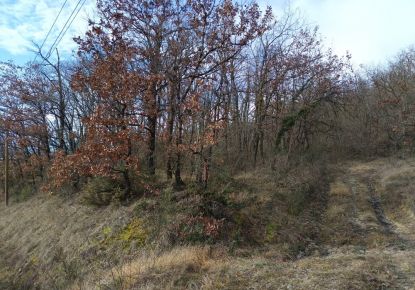 vente Terrain boisé – forêt Graulhet