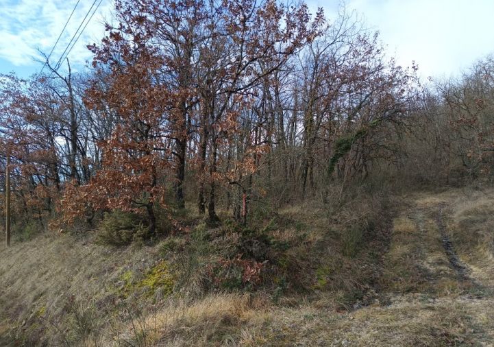 vente Terrain boisé – forêt Graulhet