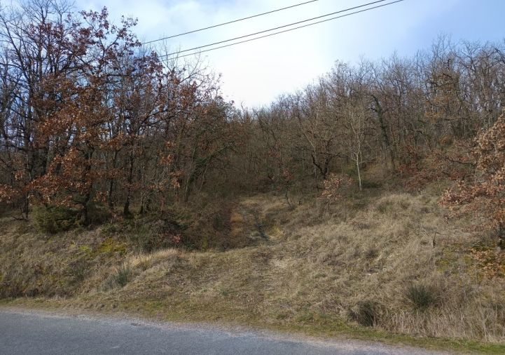 vente Terrain boisé – forêt Graulhet