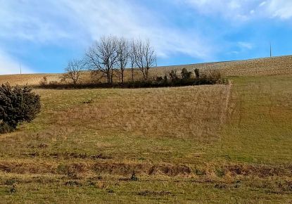 vente Terrain agricole Graulhet