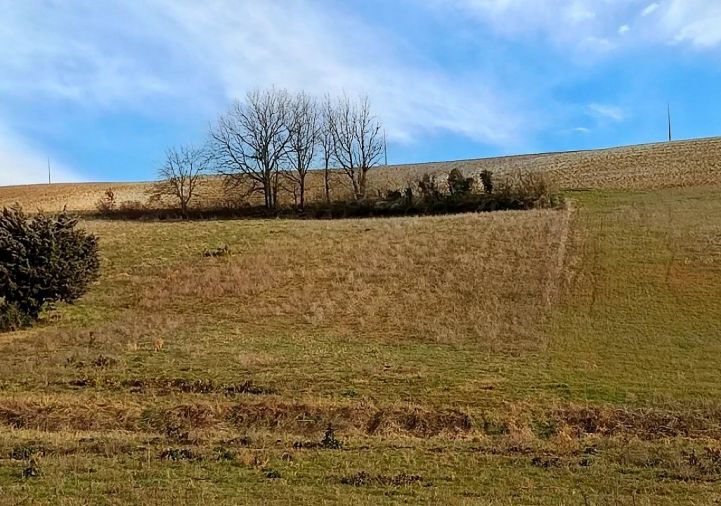 vente Terrain agricole Graulhet