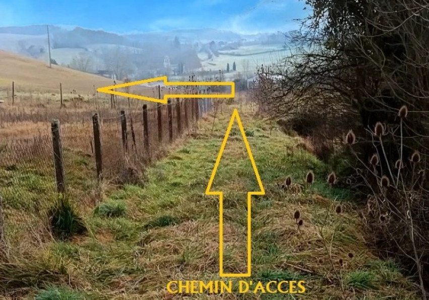 vente Terrain agricole Graulhet - Photo 2
